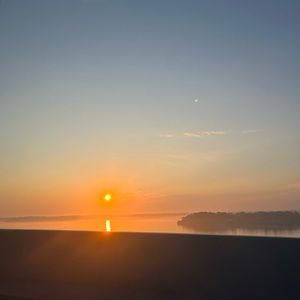 Meet your Posher, Sammie